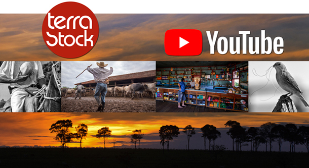 CANAL TERRASTOCK NO YOUTUBE
