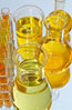 biofuel, bioenergia, bioenergy, fuel